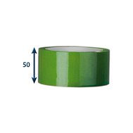 Páska samolepicí PP 48x60 Zelená (Akrylát)
